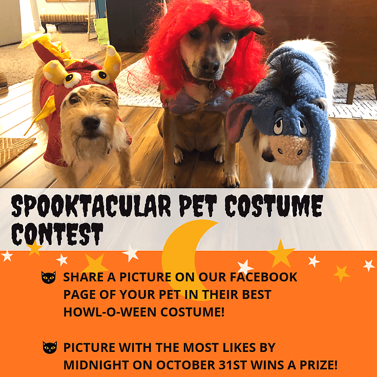Spooktacular Pet Costume Contest. Share a picture on our facebook page of your pet in their best howl-o-ween costume! Picture with the most likes by midnight on october 31st wins a prize!