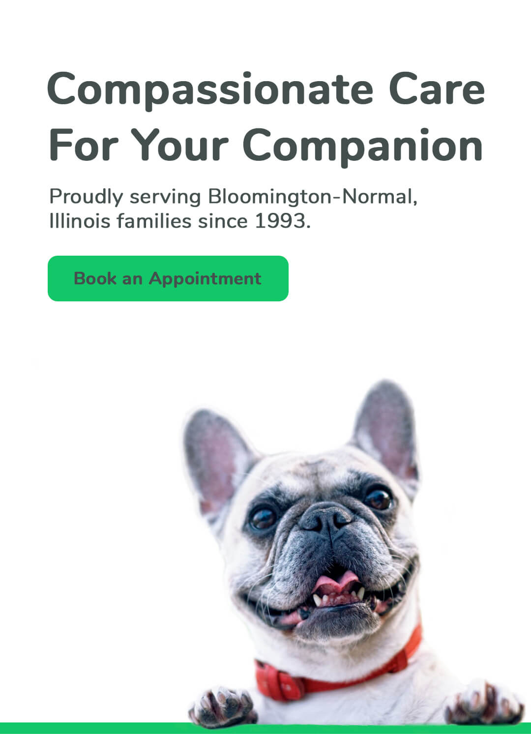 Compassionate Care For Your Companion. Proudly serving Bloomington-Normal, Illinois families since 1993. Book an appointment.